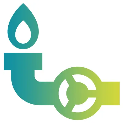 Gaseous Fuel